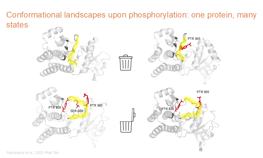 Image on elixir landing page